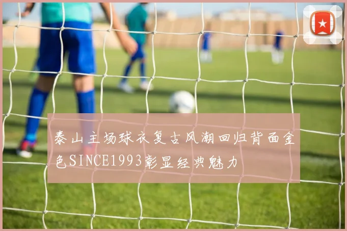 泰山主场球衣复古风潮回归背面金色SINCE1993彰显经典魅力